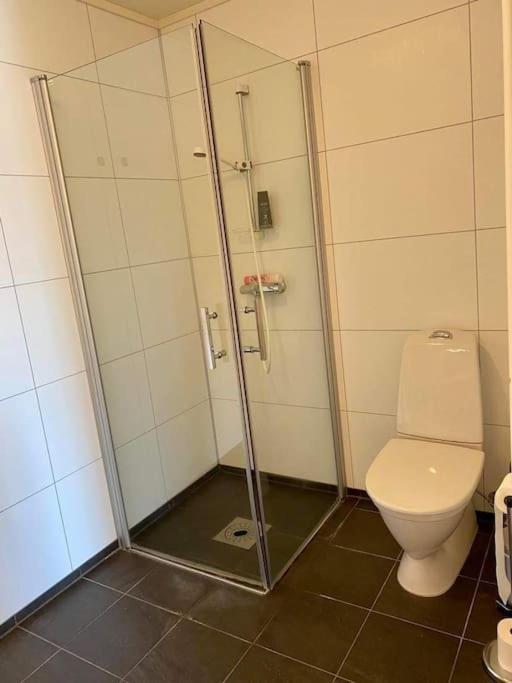 Leilighet Sentralt Pa Senja Silsand Exterior foto